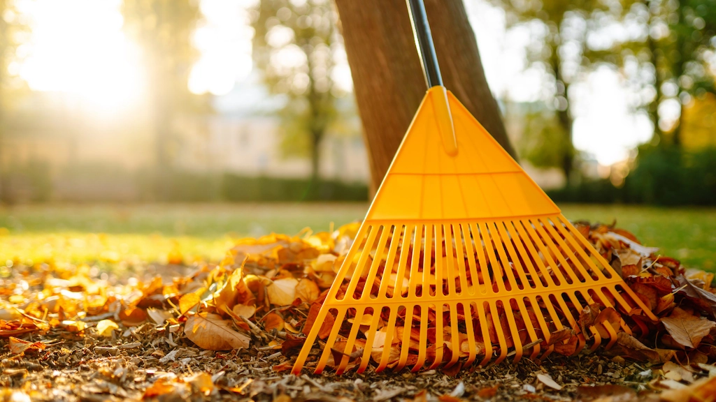 Orange leaf rake resting on a pile of fallen autumn leaves in a sunlit yard.